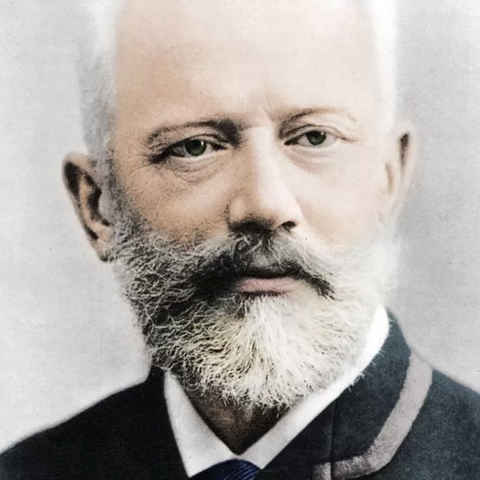 دانلود موزیک waltz of the flowers پیوتر ایلیچ چایکوفسکی